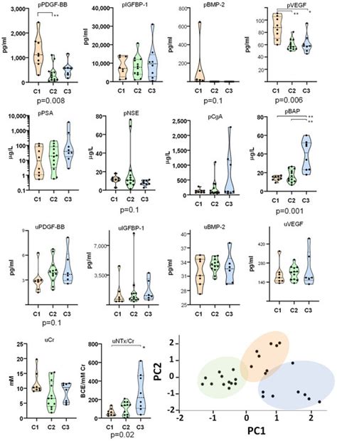 Pilot Investigation on Markers of Bone Metabolism, Angiogenesis, and ...