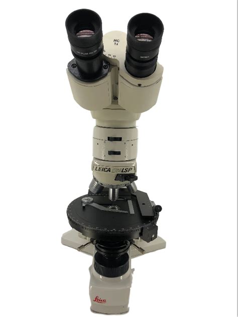 Polarizing Light Microscope 的图像结果