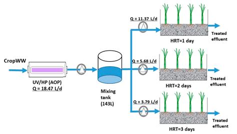 Efficient Malathion Removal in Constructed Wetlands Coupled to UV/H2O2 ...