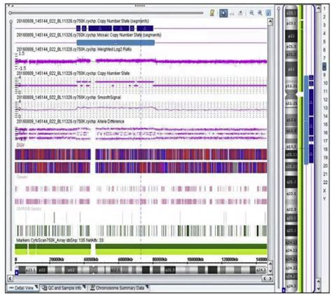 Image result for Copy Number Variation by SNP Array