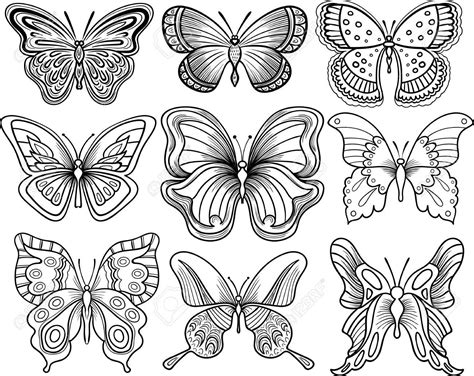 Butterfly Black And White Outline at genaniyablog Blog