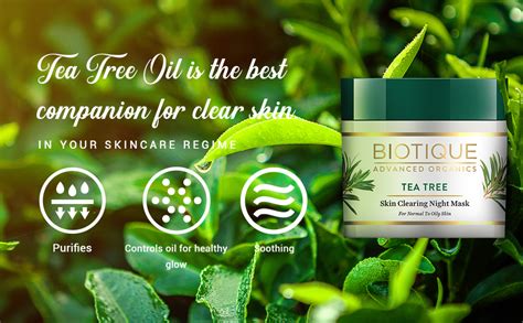 Buy Biotique Tea Tree Skin Clearing Night Mask for Normal to Oily Skin ...
