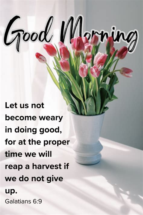 Scripture for Mornings 的图像结果