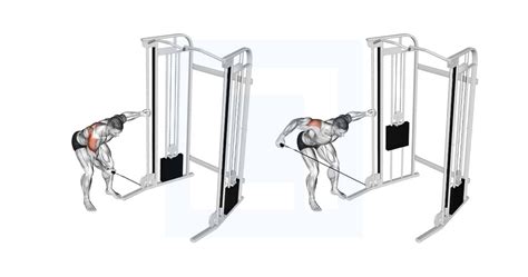 Image result for Reverse Fly Over FitBALL