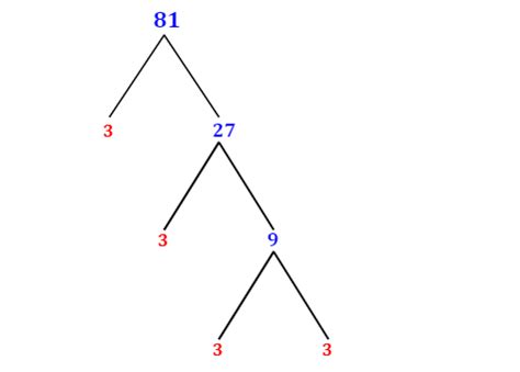 Prime Factorization of 81 with a Factor Tree - MathOnDemand.com