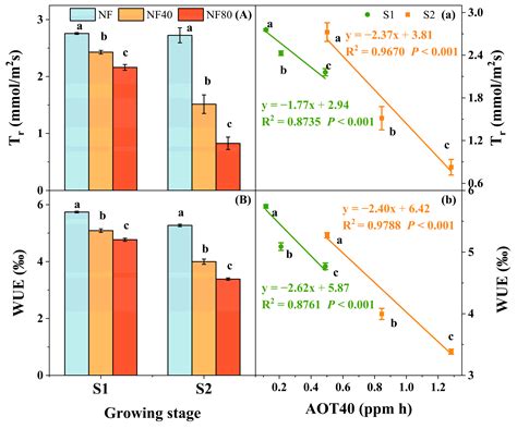 Exploring the Effects of Elevated Ozone Concentration on Physiological Processes in Summer Maize ...