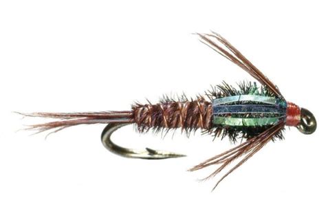 Image result for PMD Fly Pattern