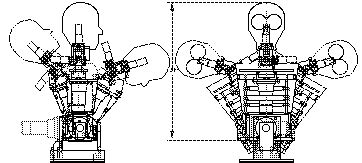 Cog Project 的图像结果