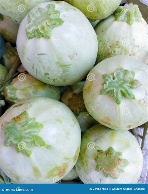 Summer Squash Chappan Kaddu Roundsquash Ball Squash Fruit of the Plant ...