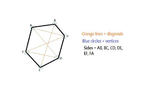 Draw Polygon ABCDEF and name all the sides,vertices and Diagonals ...