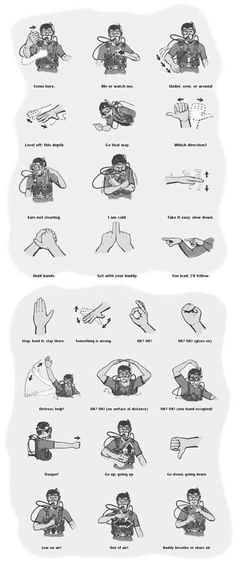 Image result for Sign Language Fish