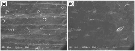 Applied Sciences | Special Issue : Materials for 3D Printing