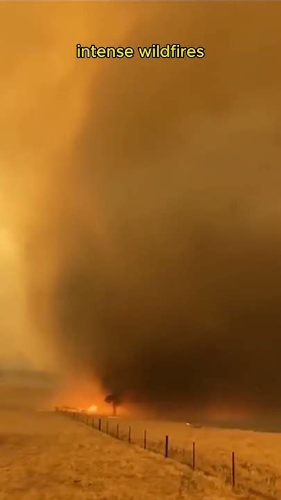 Image result for Pyrocumulusnimbus Over Bootleg Fire