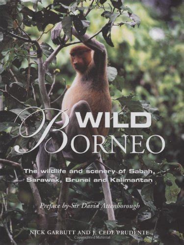 Buy Wild Borneo: The Wildlife and Scenery of Sabah, Sarawak, Brunei ...