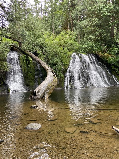 Cherry Creek Falls — Washington Trails Association