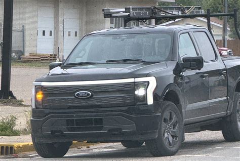 EVs – small dead animals