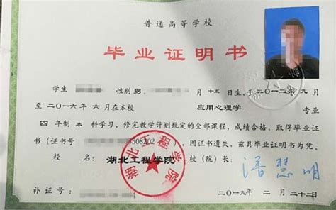 深圳积分入户毕业证原件丢了怎么办_毕业证补办网