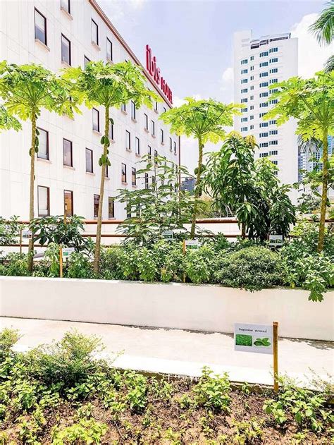 IBIS BANGKOK SUKHUMVIT 4 - Hotel Reviews, Photos, Rate Comparison ...