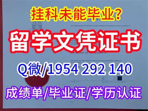 2020年，广东专插本考生常问问题解答_专业