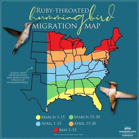 Hummingbird Spring Migration Map 的图像结果