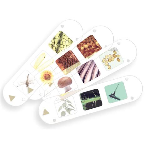 Kids First Microscope 的图像结果