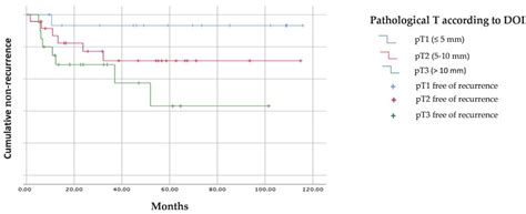 Depth of Invasion: Influence of the Latest TNM Classification on the Prognosis of Clinical Early ...
