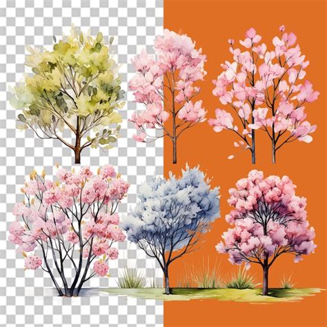 Image result for Spring Flower PSD