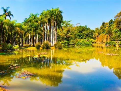【携程攻略】勐腊中科院西双版纳热带植物园景点,西双版纳景点大大小小十几个，中科院西双版纳热带植物园也称勐仑植物…