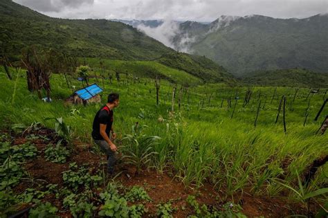 DESERTIFICATION DAY: Download our print cover for free