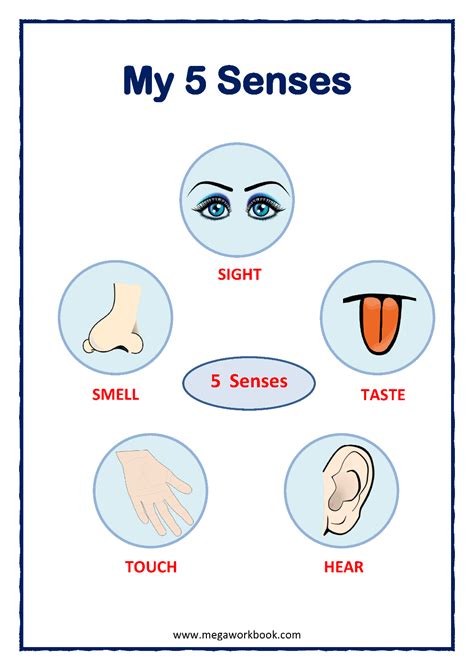 Image result for Common-Sense Worksheet