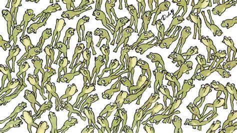 Leap year special optical illusion: Can you find a frog that is NOT ...