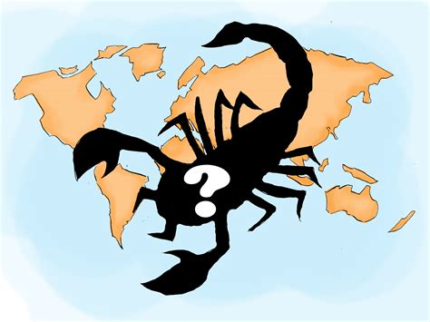 Treating A Scorpion Sting