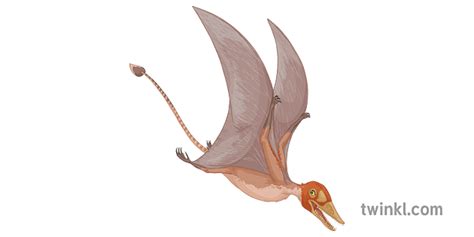 Jurassic Period Facts for Kids | Dinosaurs | Twinkl - Twinkl