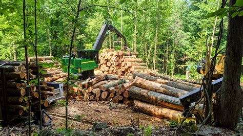 Image result for Logging Process