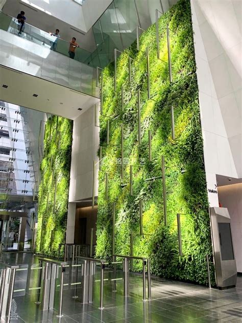 广州植物墙公司哪家好？从效果图展现和项目落地看 - 成都天海铭园