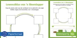 Lewensiklus Van 'n Skoenlapper - Graad 3 - Lewensiklusse