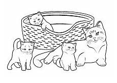 ausmalbilder katzen ausdrucken katzenmama mit katzenkinder mit bildern katze zum ausmalbilder katzen ausdrucken katzenmama mit katzenkinder mit bildern katze zum