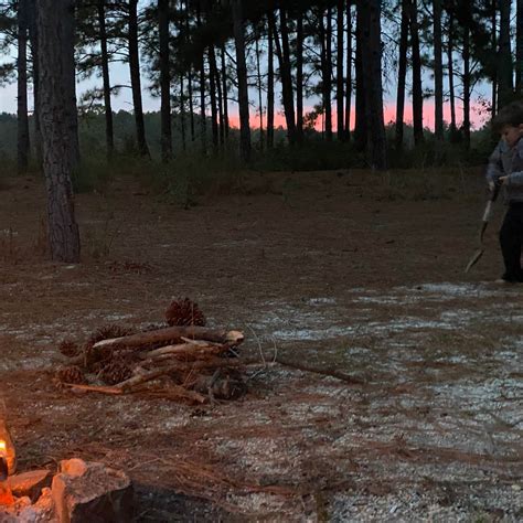 Magnolia Branch Wildlife Reserve Camping | Atmore, Alabama