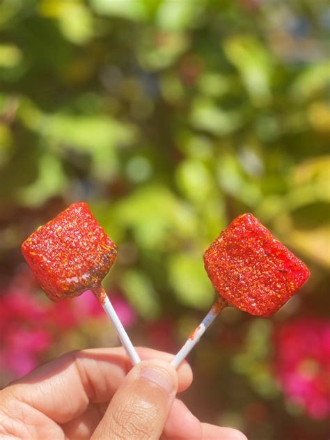 Spicy Watermelon Lollipop Chamoy Tajin Covered Mexican Chile - Etsy UK