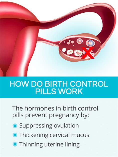 Image result for How Birth Control Works