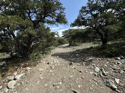 Hiking the Zapata Falls Trail in the Sangre de Cristo Mountains ...