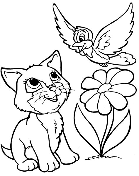 kitten playing with bird | Zoo animal coloring pages, Cat coloring page ...