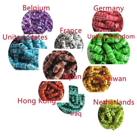 Buy ZBOYZ 2023 Pigeon Ring/Dove Rings Multicolor Aluminium Pigeon Leg ...