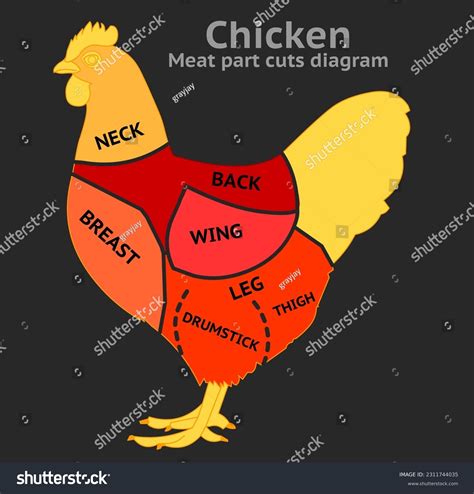 Parts Of Chicken Meat Cuts