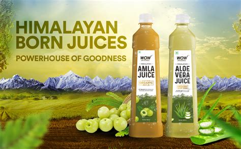 WOW Life Science Himalayan Amla Juice - 1L | 2X vitamin C | Made with ...