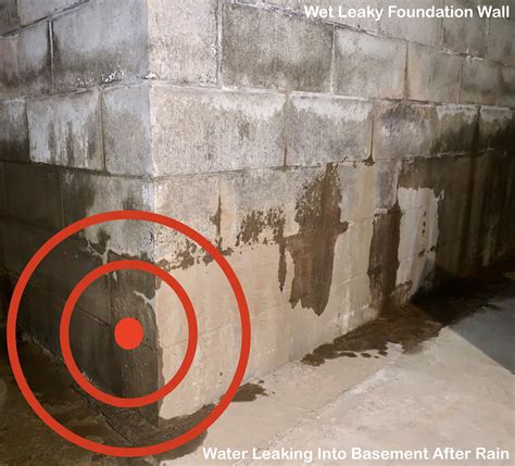 Basement foundation walls leaking water onto floor after rain wet ...