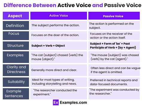 Image result for Passive Voice Examples