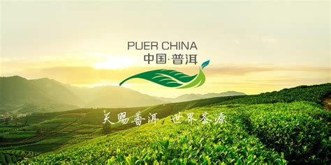世界茶源 中国•普洱 城市品牌形象建设