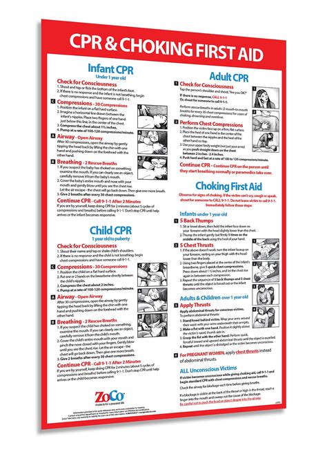 Buy CPR and Choking for Infant, Child, Adult - Laminated, 12 x 18 in ...