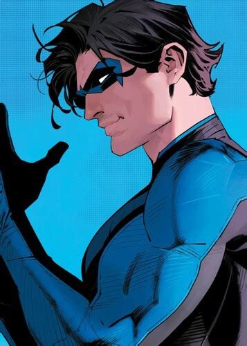 Nightwing Btas 的图像结果